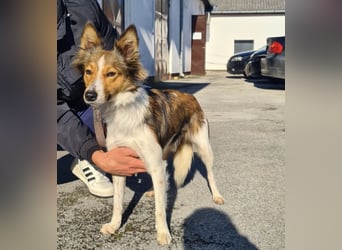 Uma ein agiles Mädchen