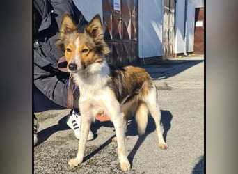 Uma ein agiles Mädchen