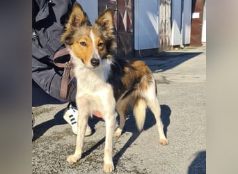 Uma ein agiles Mädchen