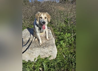 Buffy: sie liebt Menschen über alles