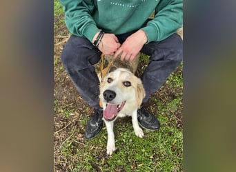 Buffy: sie liebt Menschen über alles