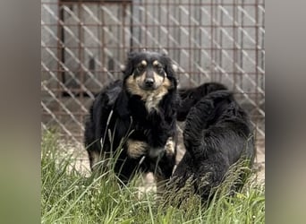 Edna eine sanfte Seele