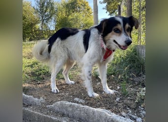 Tobby ein kleiner flauschiger Schatz