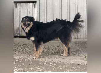 Edna eine sanfte Seele