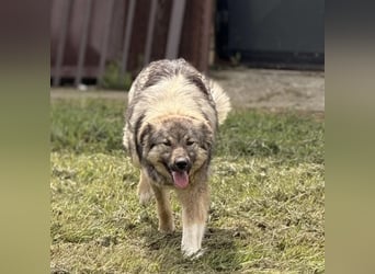 Mia braucht Liebe und Geborgenheit