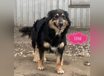 Edna eine sanfte Seele