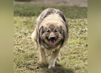 Mia braucht Liebe und Geborgenheit