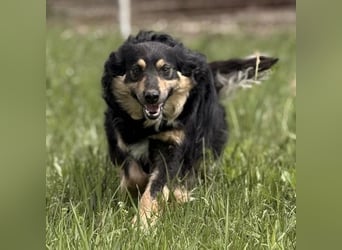 Edna eine sanfte Seele