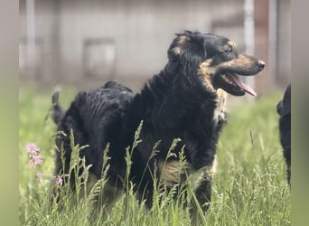 Edna eine sanfte Seele