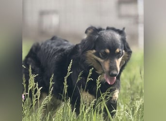 Edna eine sanfte Seele