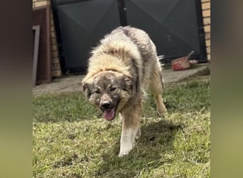 Mia braucht Liebe und Geborgenheit