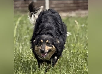 Edna eine sanfte Seele