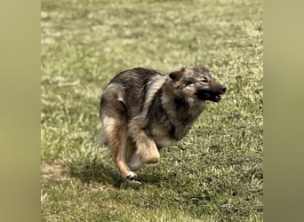 Mia braucht Liebe und Geborgenheit