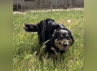 Edna eine sanfte Seele