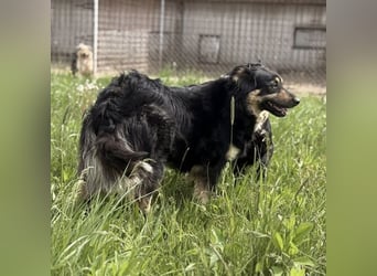 Edna eine sanfte Seele