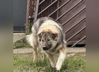 Mia braucht Liebe und Geborgenheit