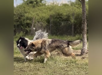 Mia braucht Liebe und Geborgenheit
