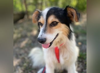 Tobby ein kleiner flauschiger Schatz