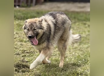 Mia braucht Liebe und Geborgenheit