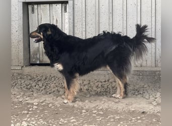 Edna eine sanfte Seele