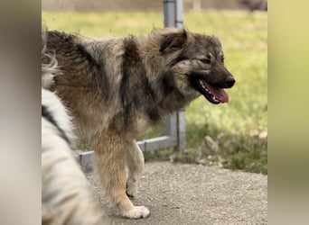 Mia braucht Liebe und Geborgenheit