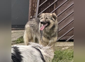 Mia braucht Liebe und Geborgenheit