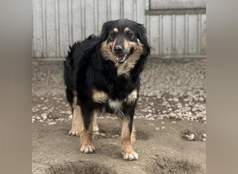 Edna eine sanfte Seele