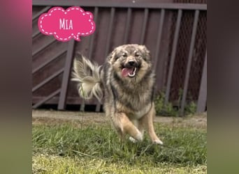 Mia braucht Liebe und Geborgenheit