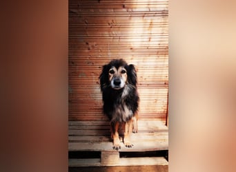 Mali - vergessen und verlassen