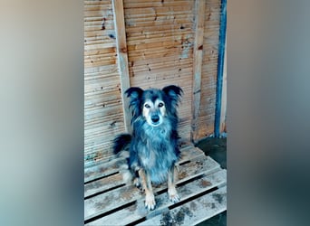 Mali - vergessen und verlassen