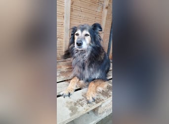 Mali - vergessen und verlassen