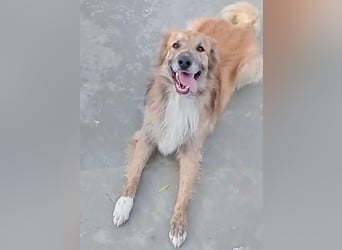 Honey, wartet schon so lange