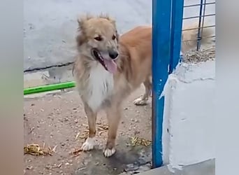 Honey, wartet schon so lange