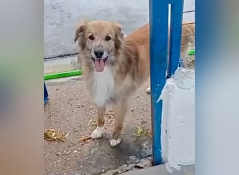 Honey, wartet schon so lange