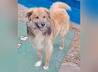 Honey, wartet schon so lange