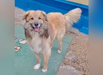 Honey, wartet schon so lange