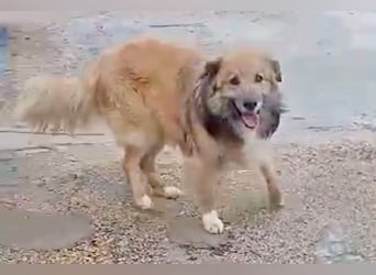 Honey, wartet schon so lange