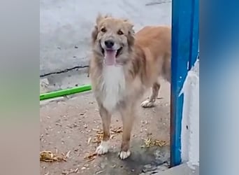 Honey, wartet schon so lange