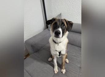 Woody Fröhlich sucht seine Traumfamilie