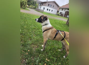 Woody Fröhlich sucht seine Traumfamilie