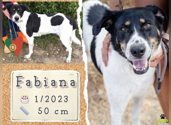 Typisch Sanft und Unkompliziert ♦️Fabiana♦️ in der Cantinho da Milu ⏳ 3/2025