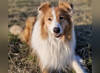 Marley