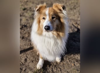 Marley