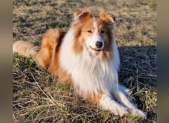 Marley