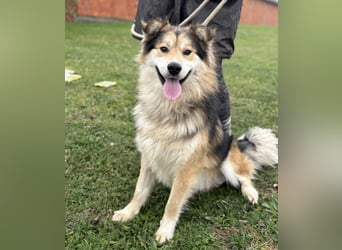 Boki ein wundervoller freundlicher Schatz