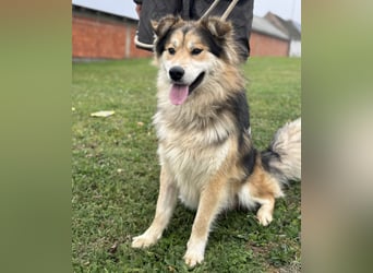 Boki ein wundervoller freundlicher Schatz