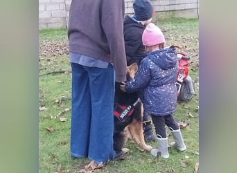 Bonze ein absoluter Schatz