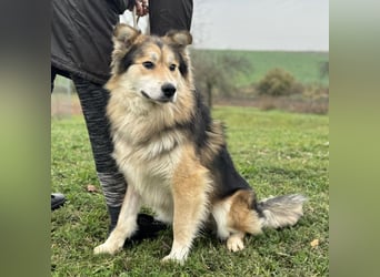 Boki ein wundervoller freundlicher Schatz