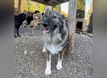 Daisy eine unglaublich liebe Seele