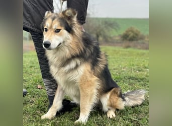 Boki ein wundervoller freundlicher Schatz